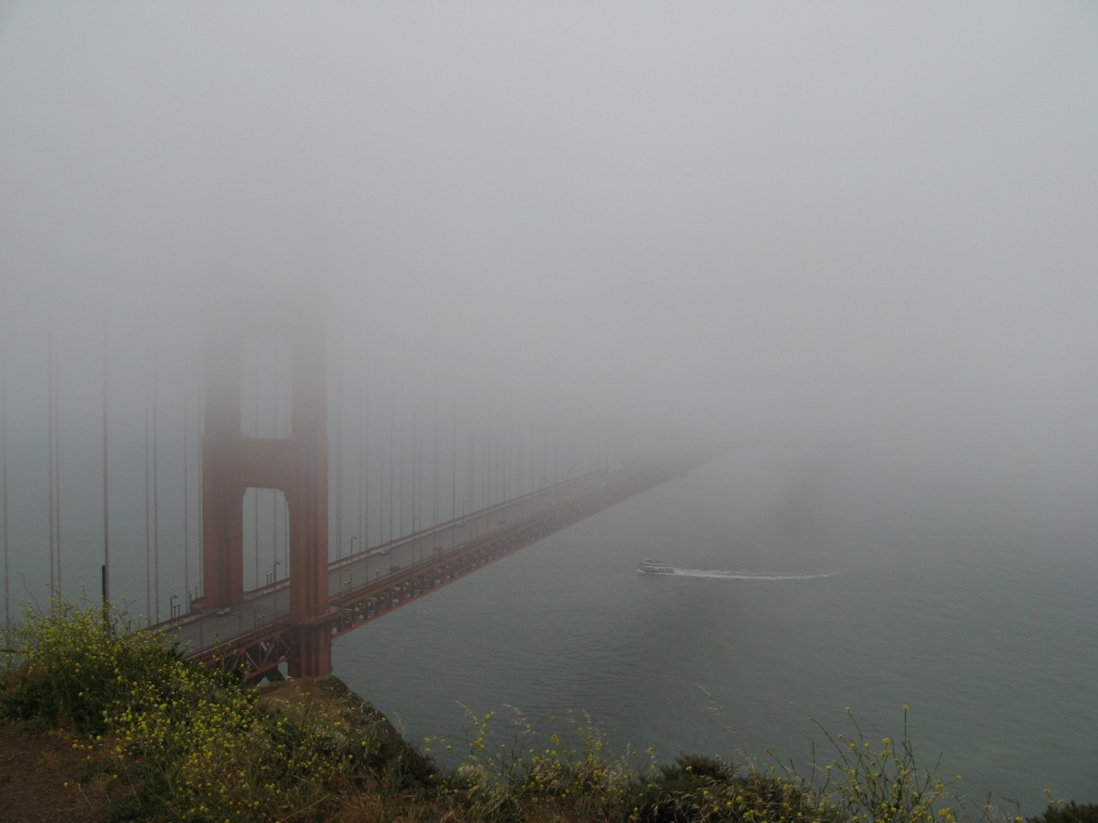 Golden Gate we mgle